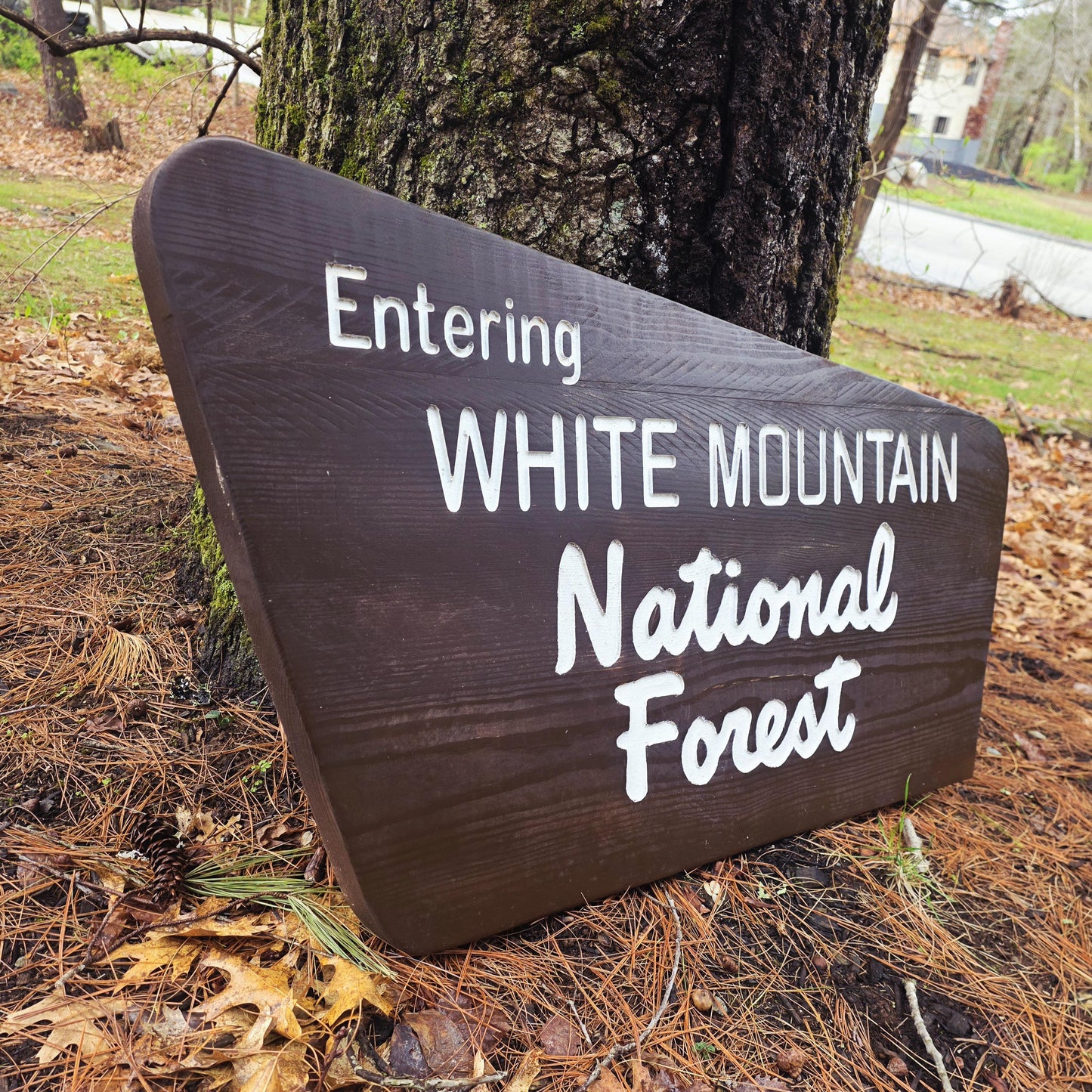 36" Carved and Painted Replica White Mountain National Forest Sign, New Hampshire Art, Large Carved Wood, Nature Decor, Gift for Hikers
