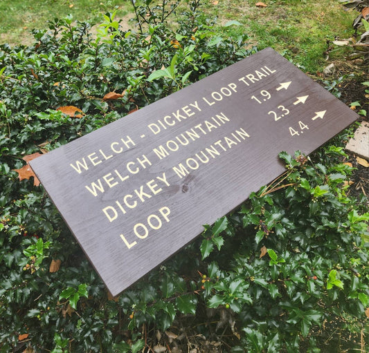 Welch Dickey Loop Trail Hand Painted Carved Sign, New Hampshire Art, Wooden Sign, Nature Decor, Gift for Hikers, White Mountain Park