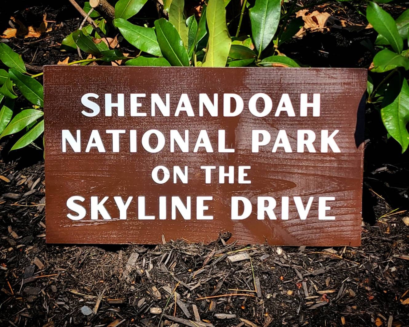 Replica Shenandoah National Park on the Skyline Drive, Sign, Virginia Art, Painted Wooden, Nature Decor, Gift for Hikers, Parks