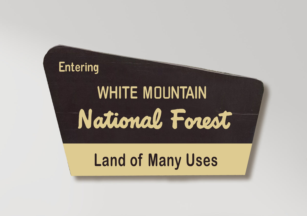 Large Painted White Mountain National Forest Sign