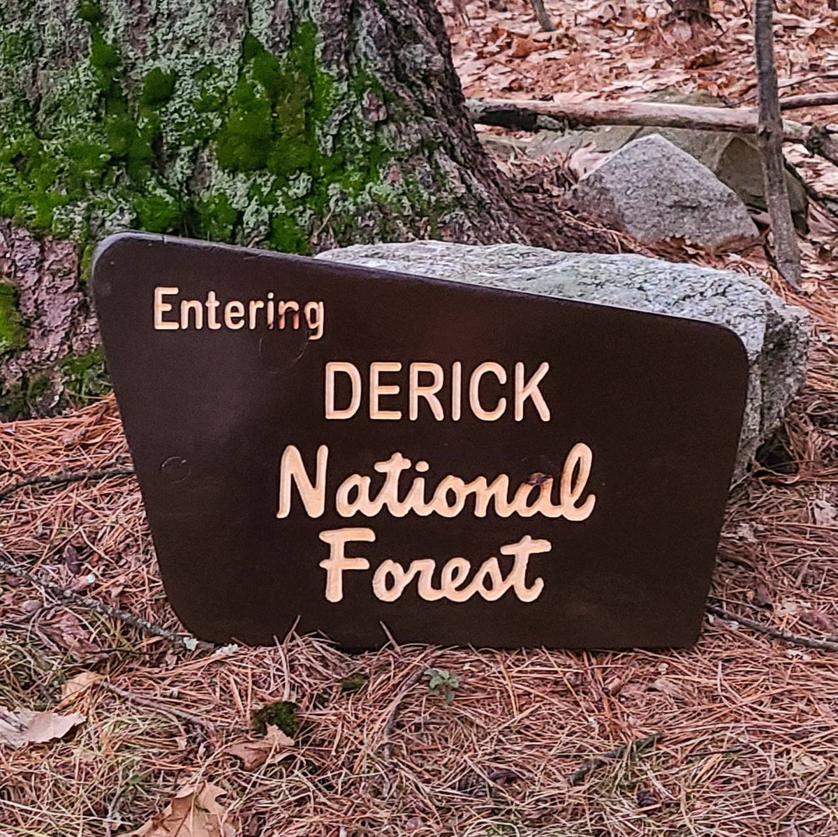 Personalized Engraved White Mountain National Forest Sign