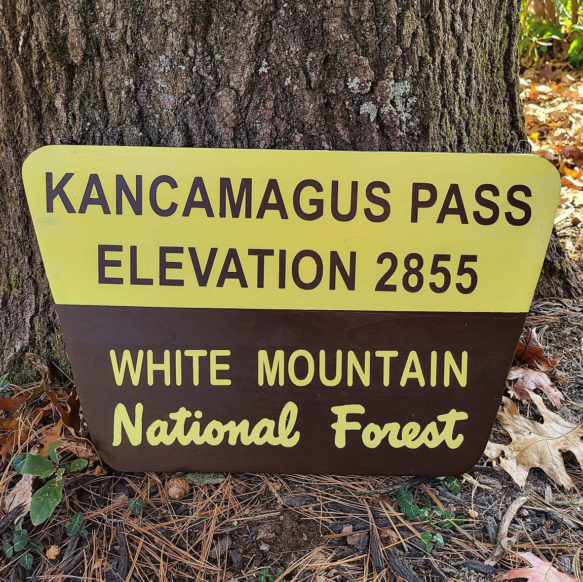 Kancamagus Pass Hand Painted Sign