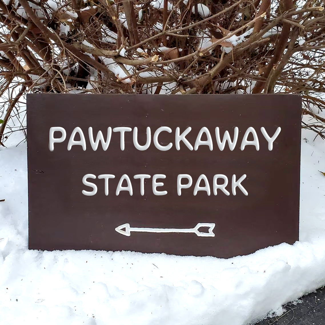 Pawtuckaway State Park Carved and Painted Sign
