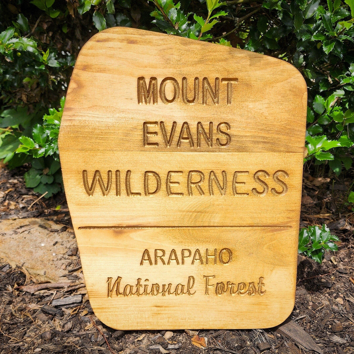 Mount Evans Wilderness Carved Sign