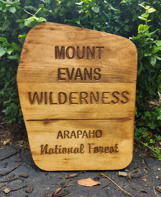 Carved Mount Evans Wilderness Sign | National Forest | Rustic Sign | Gift for Hiker | Camping | Nature