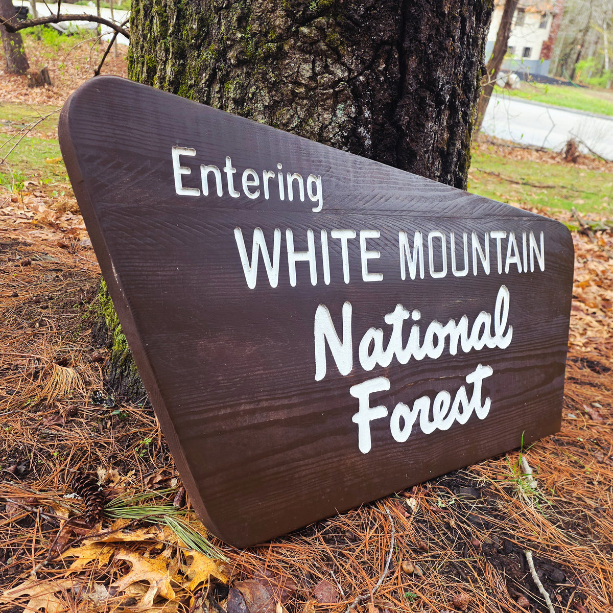 Engraved and Painted White Mountain National Forest Sign Style 2