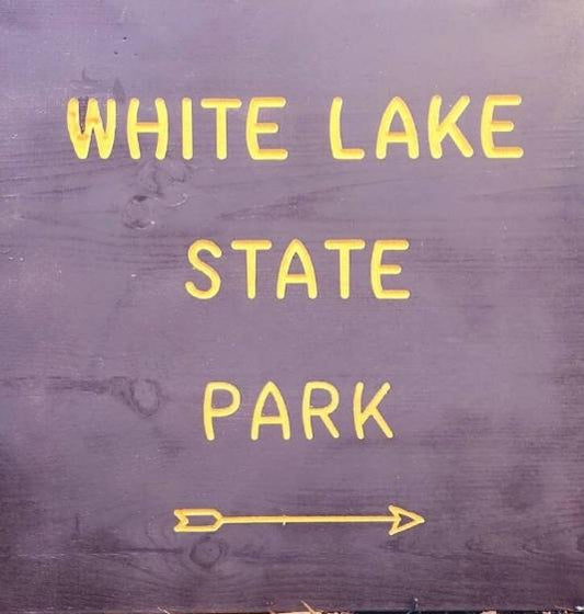 White Lake State Park Carved and Painted Sign, Wooden Sign, Nature Decor, Gift for Hikers, State Artwork, New Hampshire, Natural Home Decor