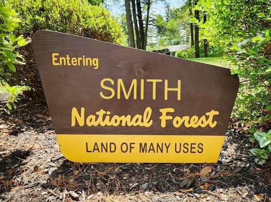 24" Personalized White Mountain National Forest Sign | Hand Painted | New Hampshire Wooden Wall Art | Wooden Sign | Cabin Decor