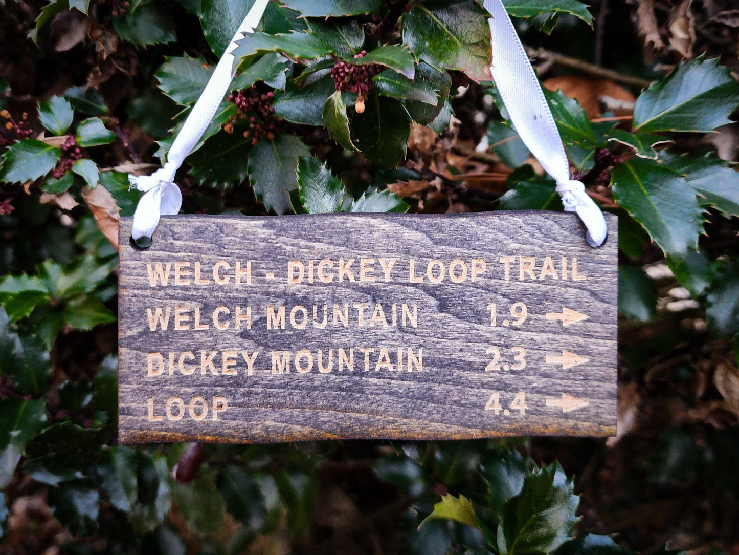 Ornament | Welch - Dickey Loop Trail | Gift Tag | Christmas | Gift for Hiker | Camping | Wood Art | Hiking Trail