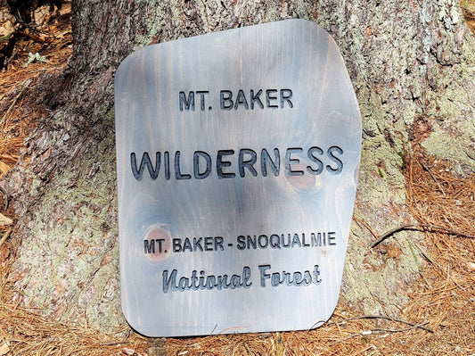 Carved Mt. Baker Wilderness Sign | National Forest | Rustic Sign | Gift for Hiker | Camping | Nature