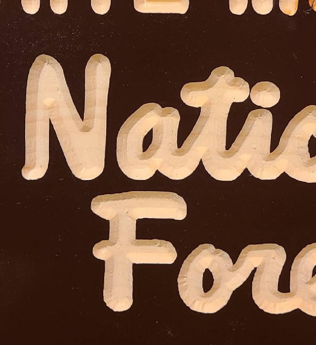 36" CARVED CUSTOM TEXT Replica White Mountain National Forest Sign | New Hampshire Art | Wooden Sign |  Nature Decor