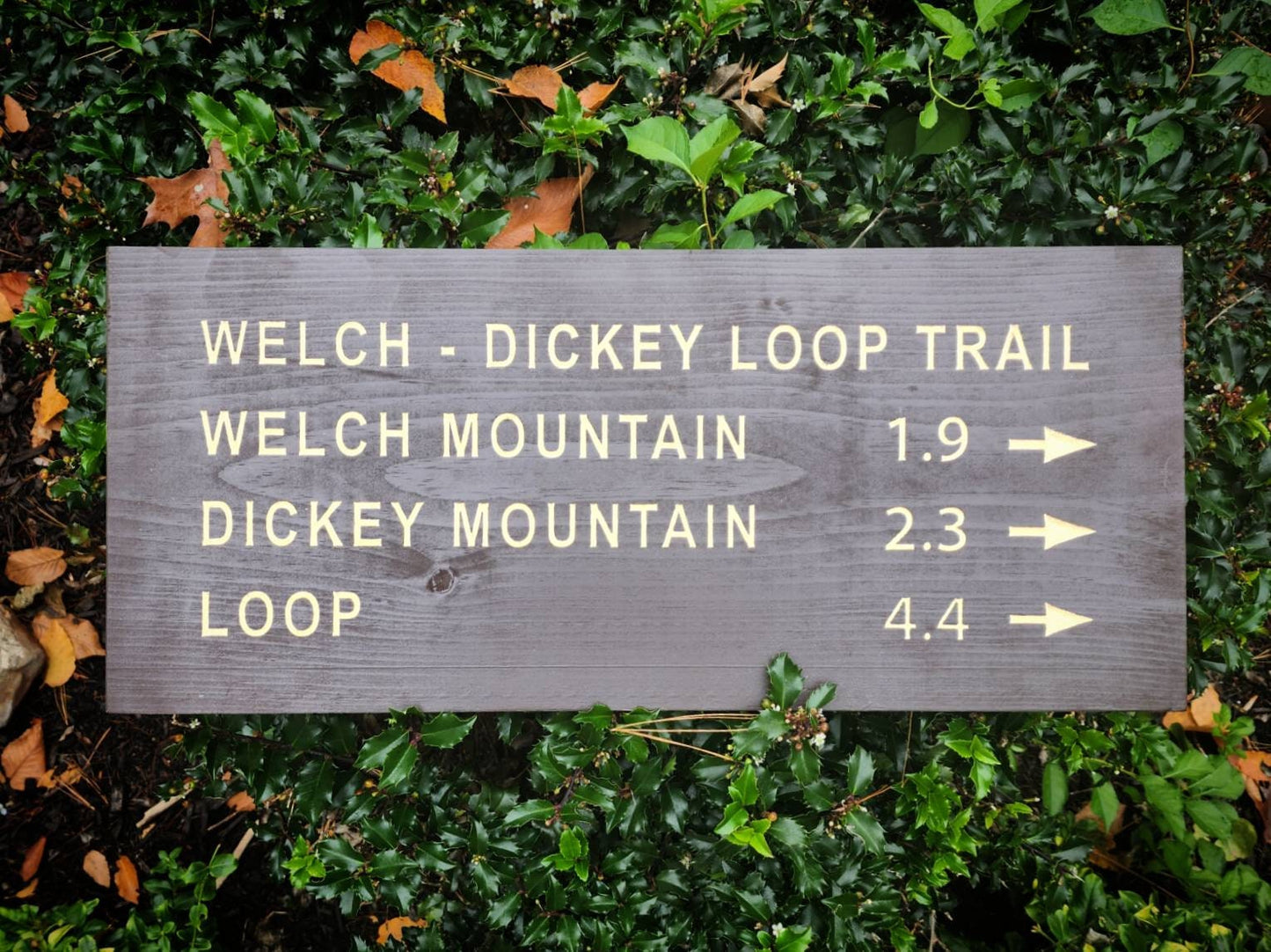 Welch Dickey Loop Trail Hand Painted Carved Sign, New Hampshire Art, Wooden Sign, Nature Decor, Gift for Hikers, White Mountain Park