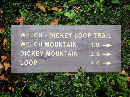 Welch Dickey Loop Trail Hand Painted Carved Sign, New Hampshire Art, Wooden Sign, Nature Decor, Gift for Hikers, White Mountain Park