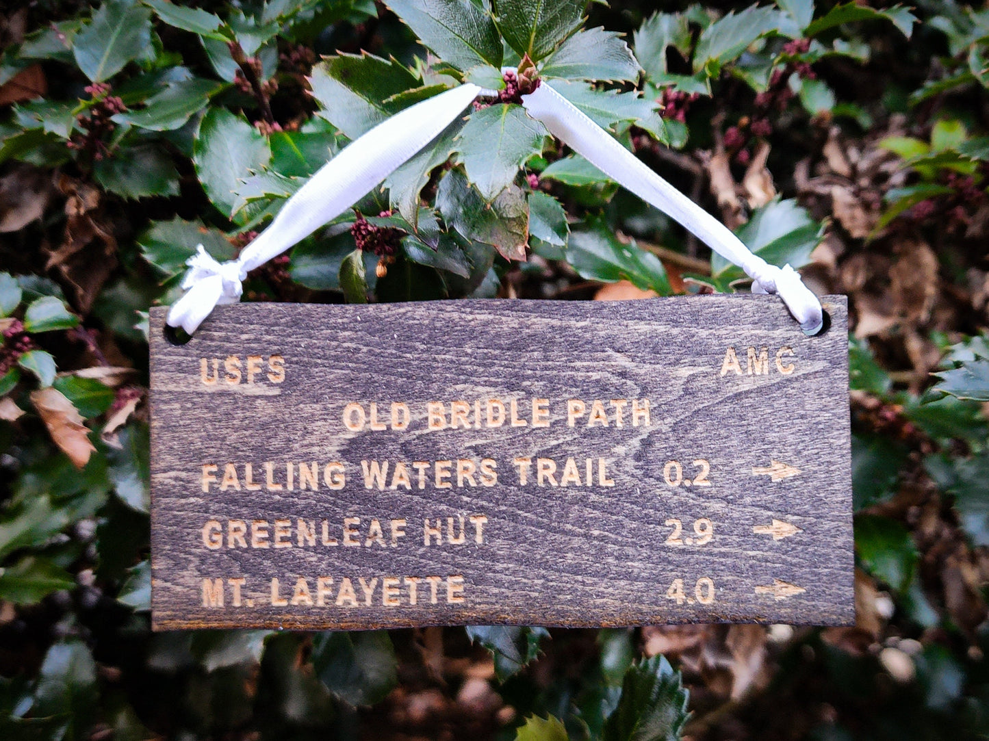 Ornament | Old Bridle | Gift Tag | Christmas | Gift for Hiker | Camping | Wood Art | Hiking Trail