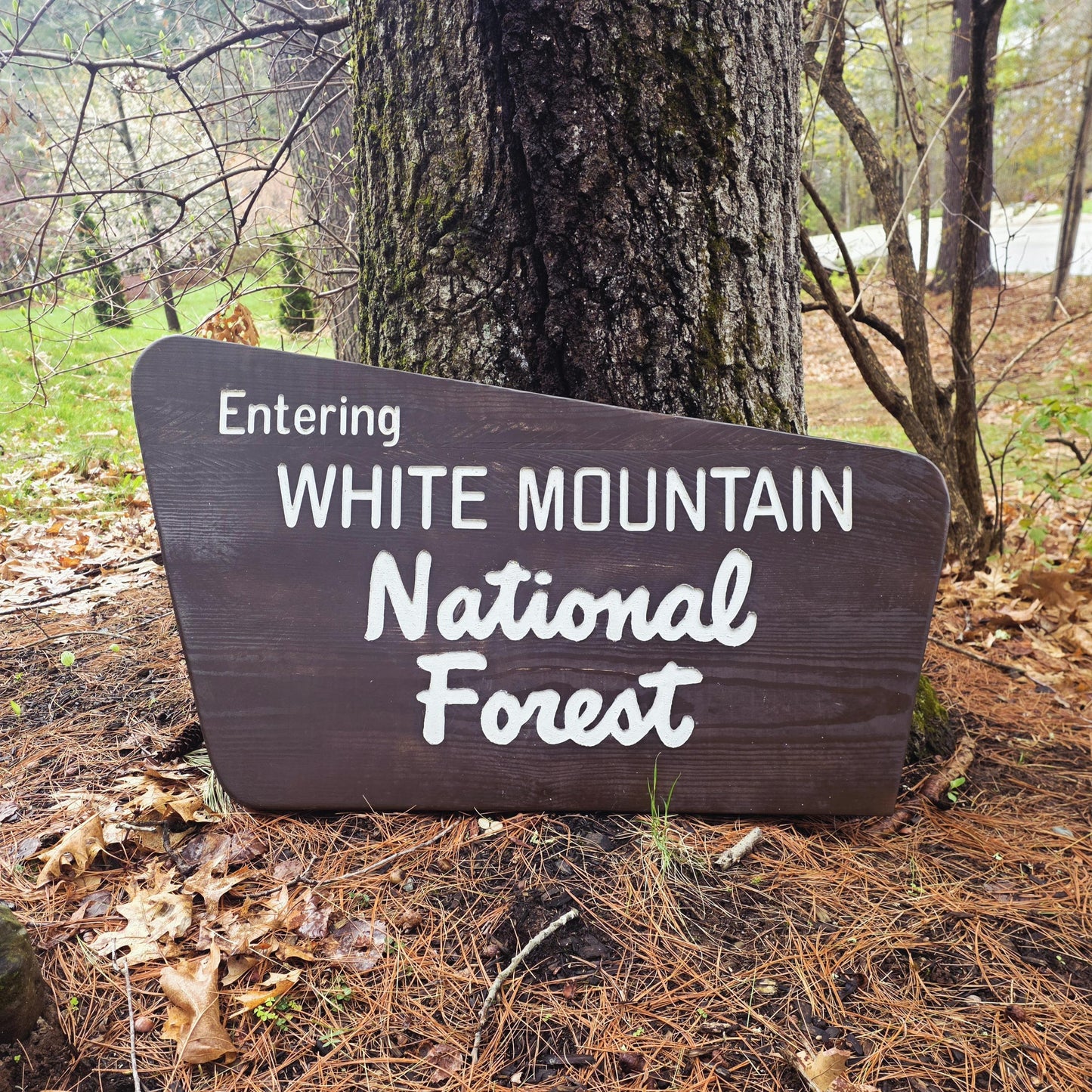 36" Carved and Painted Replica White Mountain National Forest Sign, New Hampshire Art, Large Carved Wood, Nature Decor, Gift for Hikers