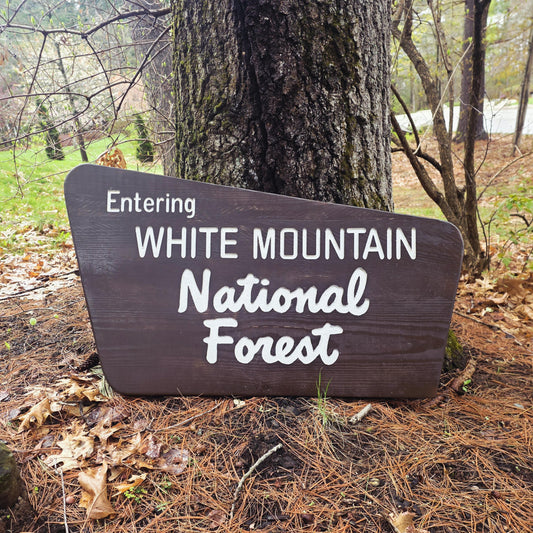 36" Carved and Painted Replica White Mountain National Forest Sign, New Hampshire Art, Large Carved Wood, Nature Decor, Gift for Hikers