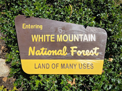 18" Hand Painted White Mountain National Forest Sign | New Hampshire Art | Painted Wooden Sign | Nature Decor | Gift for Hikers