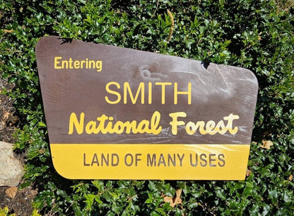 18" Personalized White Mountain National Forest Sign | Hand Painted New Hampshire Art | Painted Wooden Sign | Nature Decor | Gift for Hikers