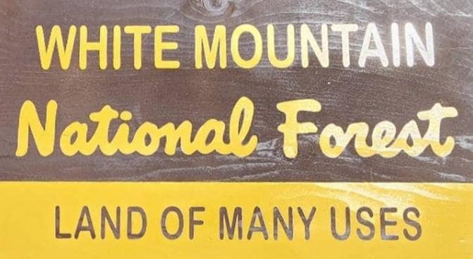 18" Hand Painted White Mountain National Forest Sign | New Hampshire Art | Painted Wooden Sign | Nature Decor | Gift for Hikers