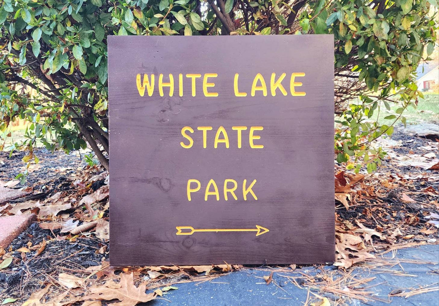 White Lake State Park Carved and Painted Sign, Wooden Sign, Nature Decor, Gift for Hikers, State Artwork, New Hampshire, Natural Home Decor