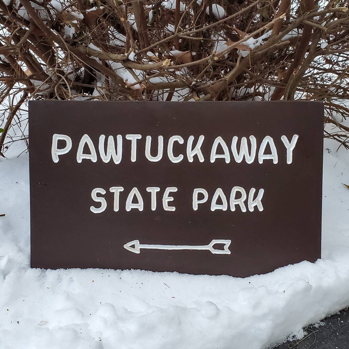 Pawtuckaway State Park Carved and Hand Painted Sign, Wooden Sign, Nature Decor, Gift for Hikers, State Artwork, New Hampshire