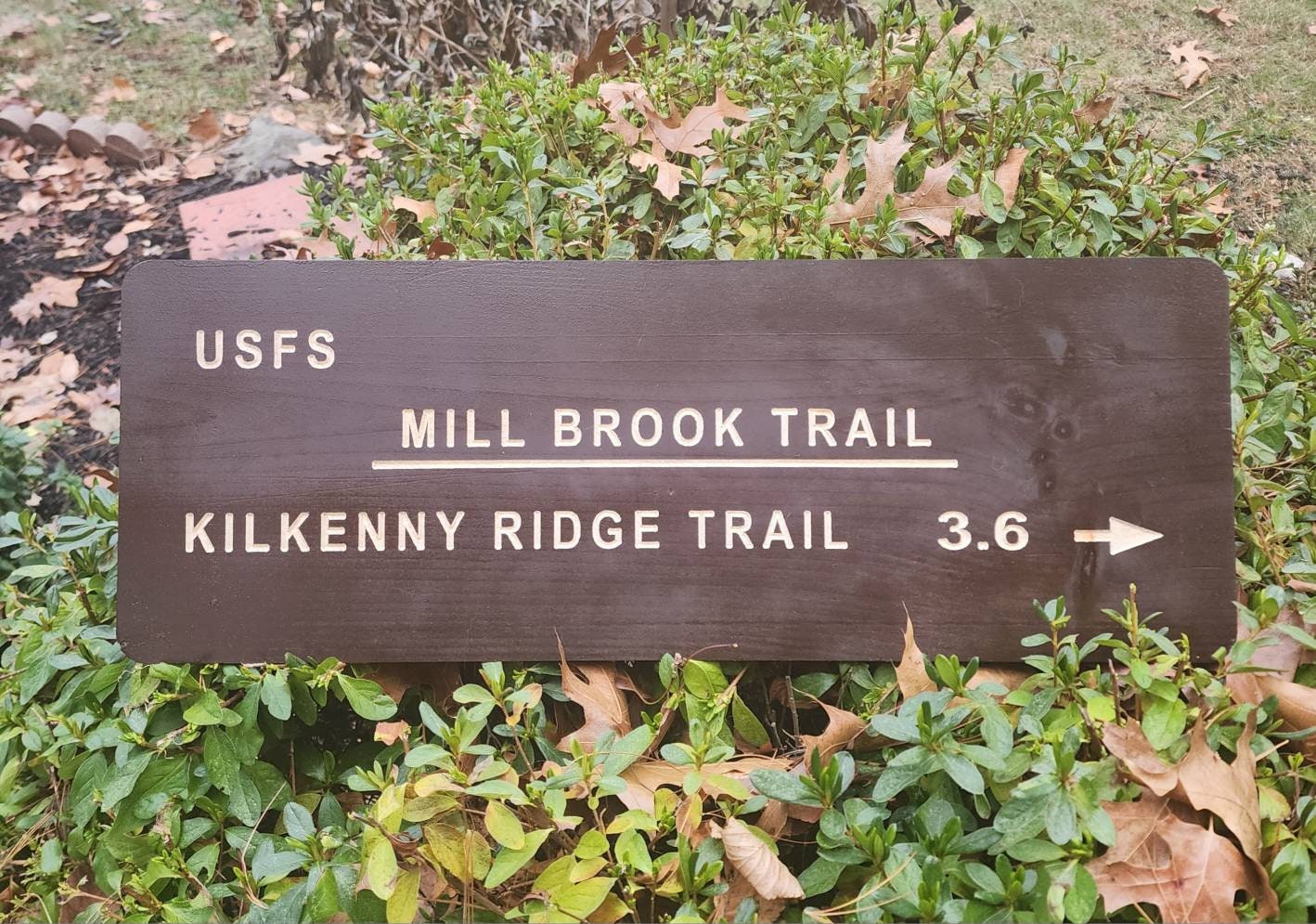 Mill Brook Trail Hand Carved Sign, Kilkenny Ridge Trail, Wooden Sign, Nature Decor, Gift for Hikers, State Artwork, New Hampshire, USFS