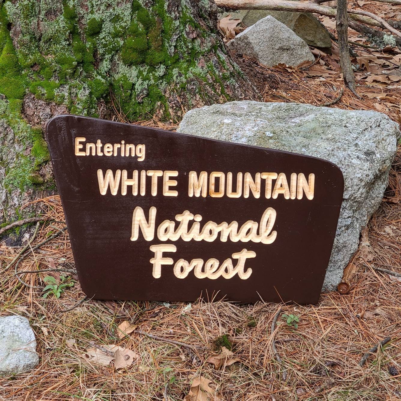 24" CARVED Replica White Mountain National Forest Sign | New Hampshire Art | Wooden Sign | Nature Decor | Gift for Hikers |  Parks