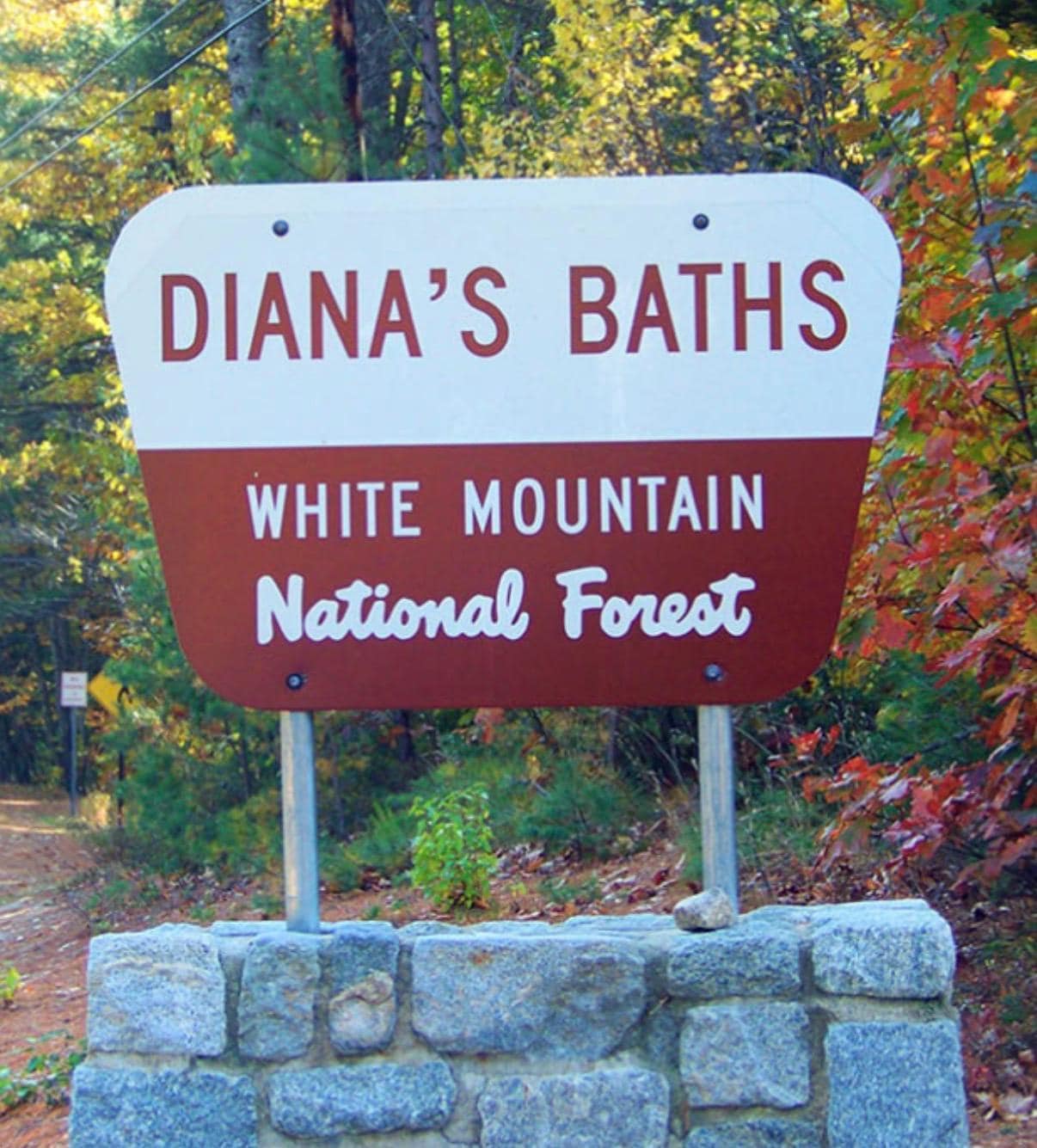 Custom Sign