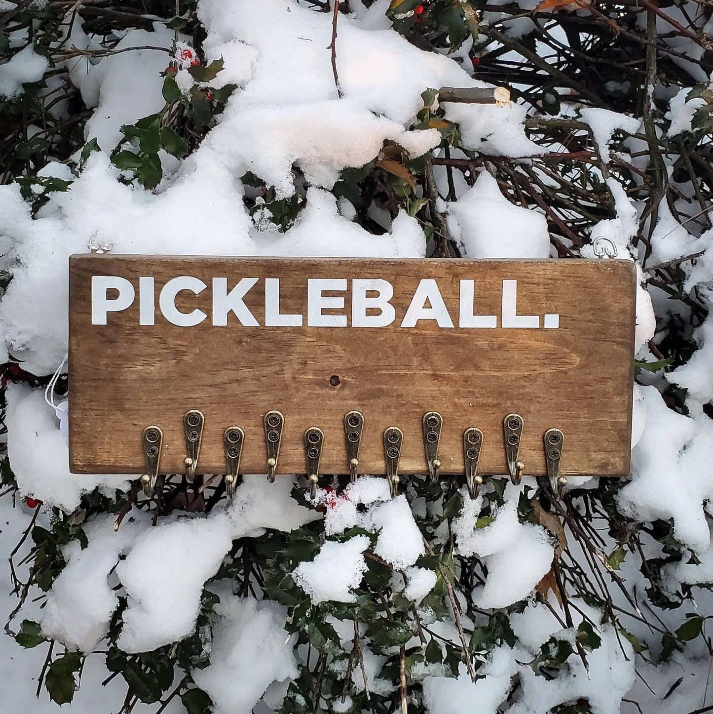 Pickleball Medal Display
