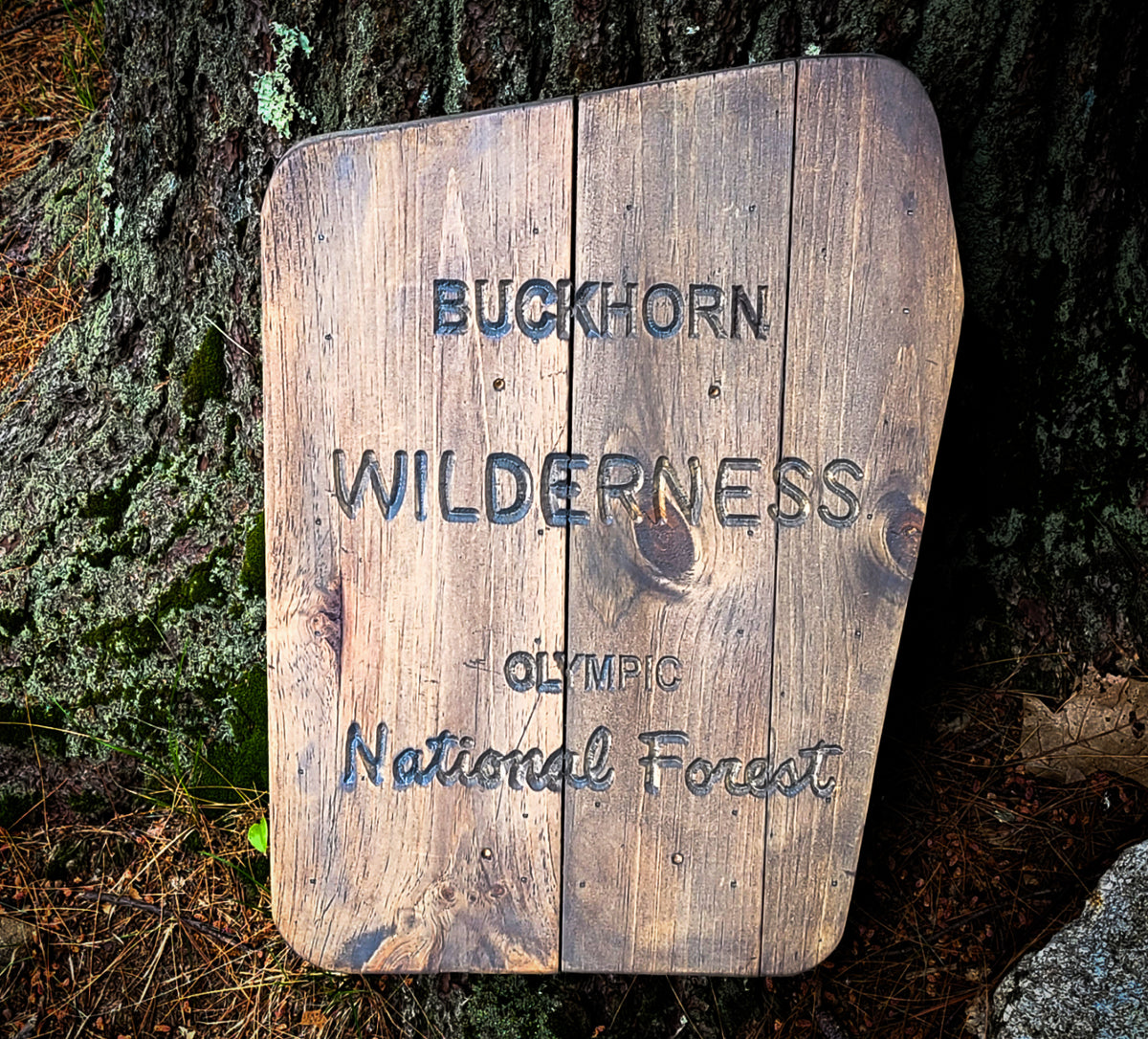 Buckhorn Wilderness Carved Sign