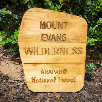 Carved Mount Evans Wilderness Sign | National Forest | Rustic Sign | Gift for Hiker | Camping | Nature
