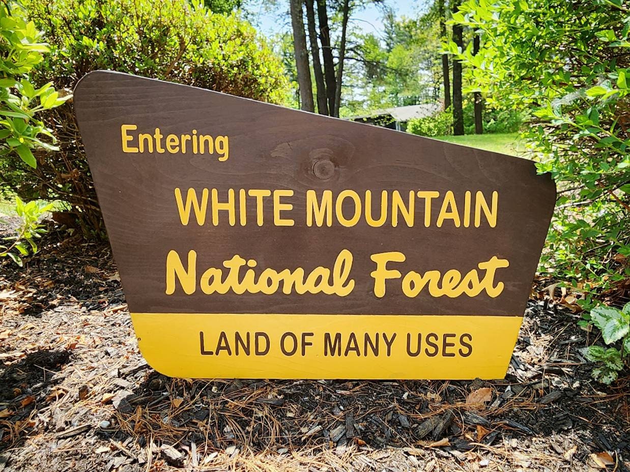 24" Hand Painted White Mountain National Forest Sign | New Hampshire Wooden Wall Art | Wooden Sign | Cabin Decor