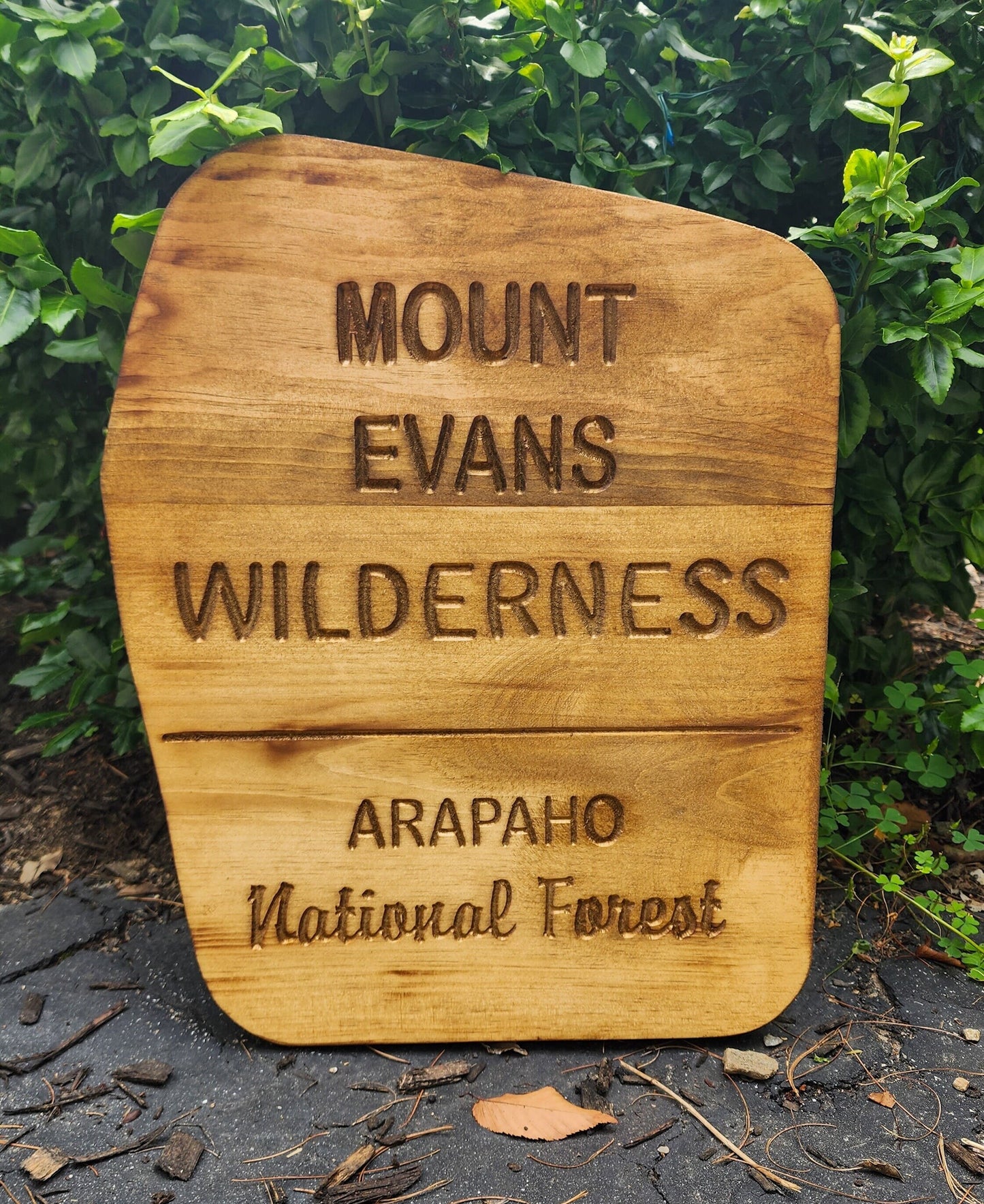 Carved Mount Evans Wilderness Sign | National Forest | Rustic Sign | Gift for Hiker | Camping | Nature
