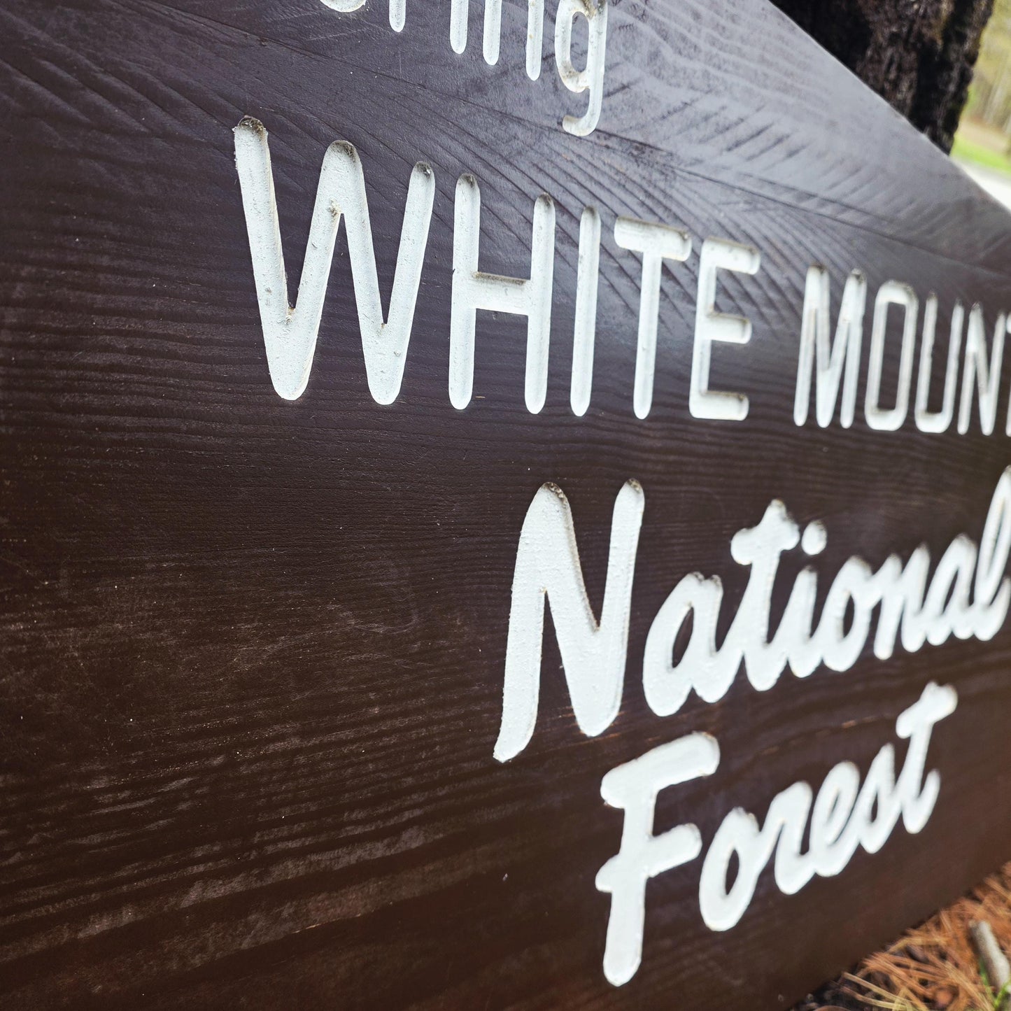 36" Carved and Painted Replica White Mountain National Forest Sign, New Hampshire Art, Large Carved Wood, Nature Decor, Gift for Hikers
