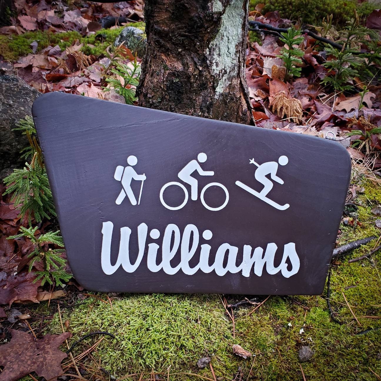 CUSTOM Family Sign, New Hampshire Art, Wooden Sign, Nature Decor, Painted Sign, Gift for Hikers, Bikers, Skiers, Runner, Fisherman, Snowboad