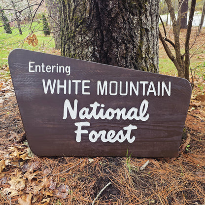 36" Carved and Painted Replica White Mountain National Forest Sign, New Hampshire Art, Large Carved Wood, Nature Decor, Gift for Hikers