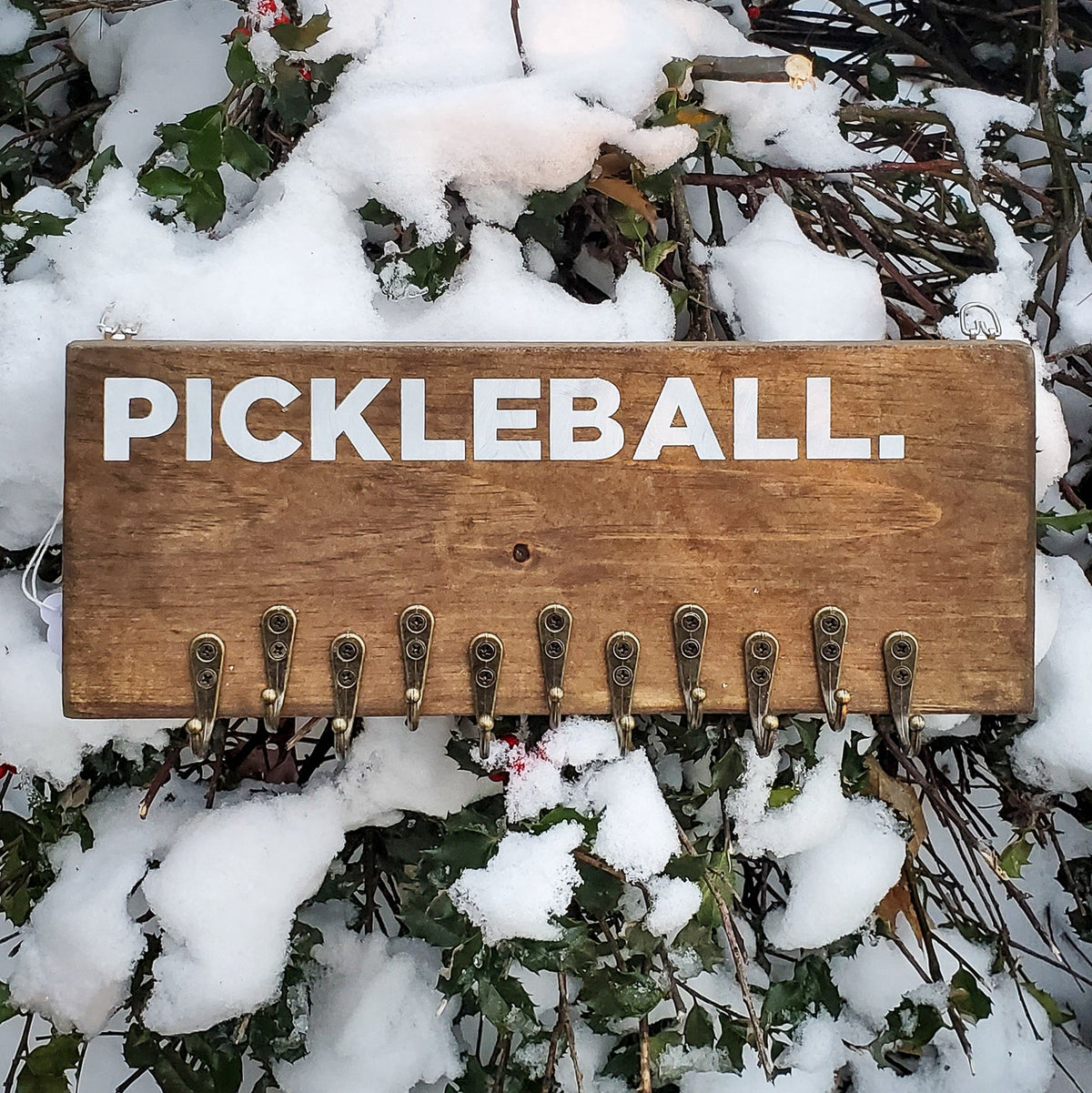 Pickleball Medal Display