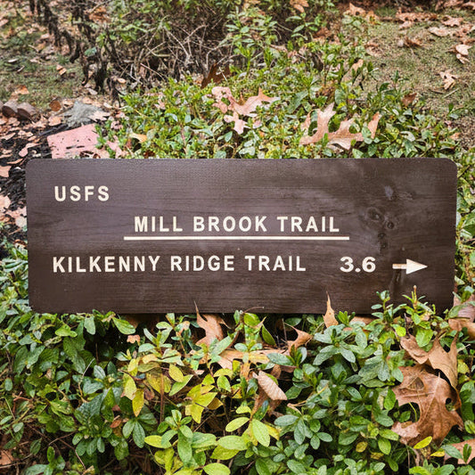 Mill Brook Trail Carved Sign