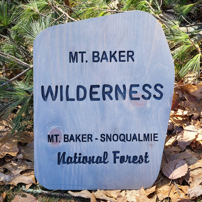Mt. Baker Wilderness Carved Sign
