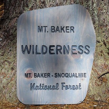Mt. Baker Wilderness Carved Sign