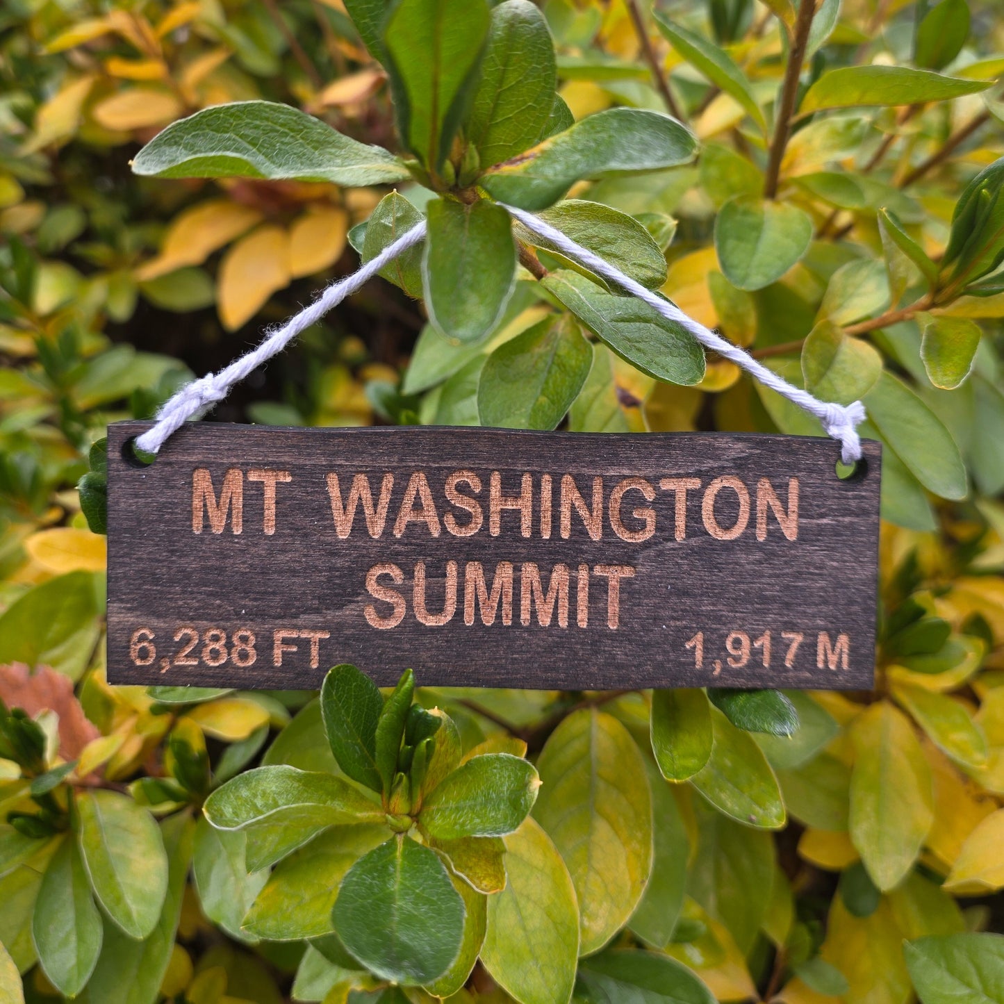 Mt Washington Ornament