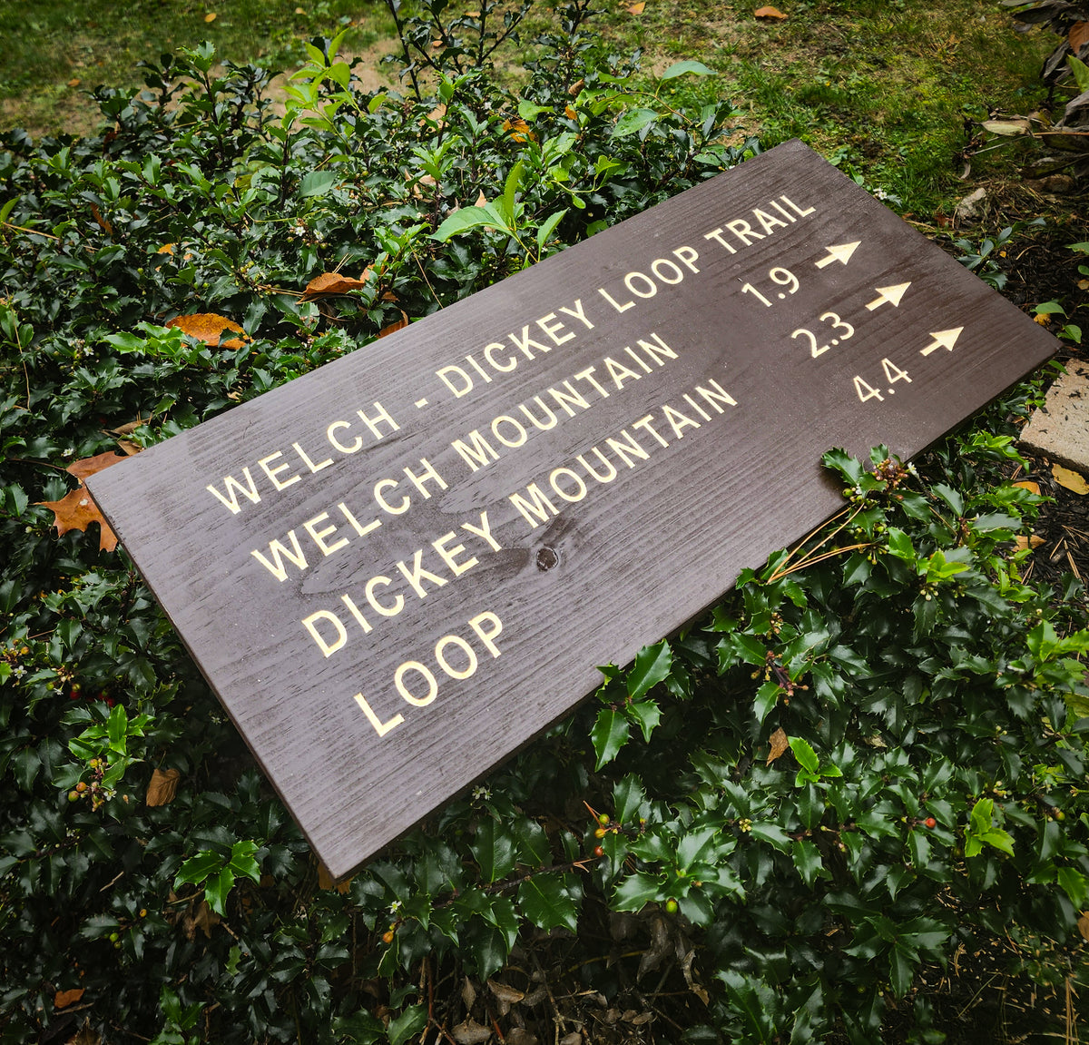 Welch Dickey Loop Trail Carved Sign