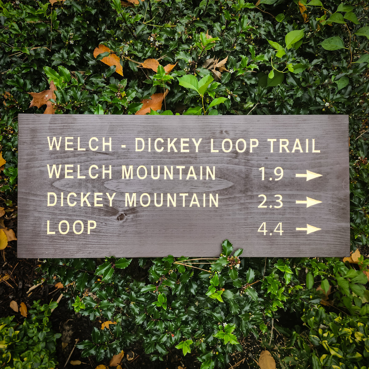 Welch Dickey Loop Trail Carved Sign