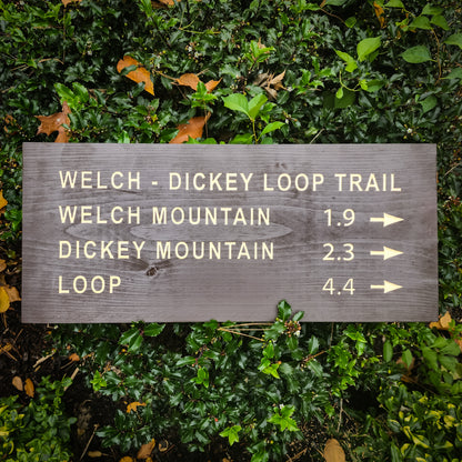 Welch Dickey Loop Trail Carved Sign