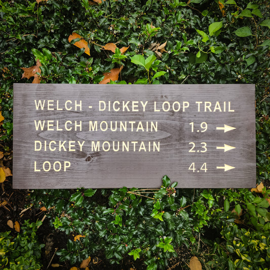 Welch Dickey Loop Trail Carved Sign