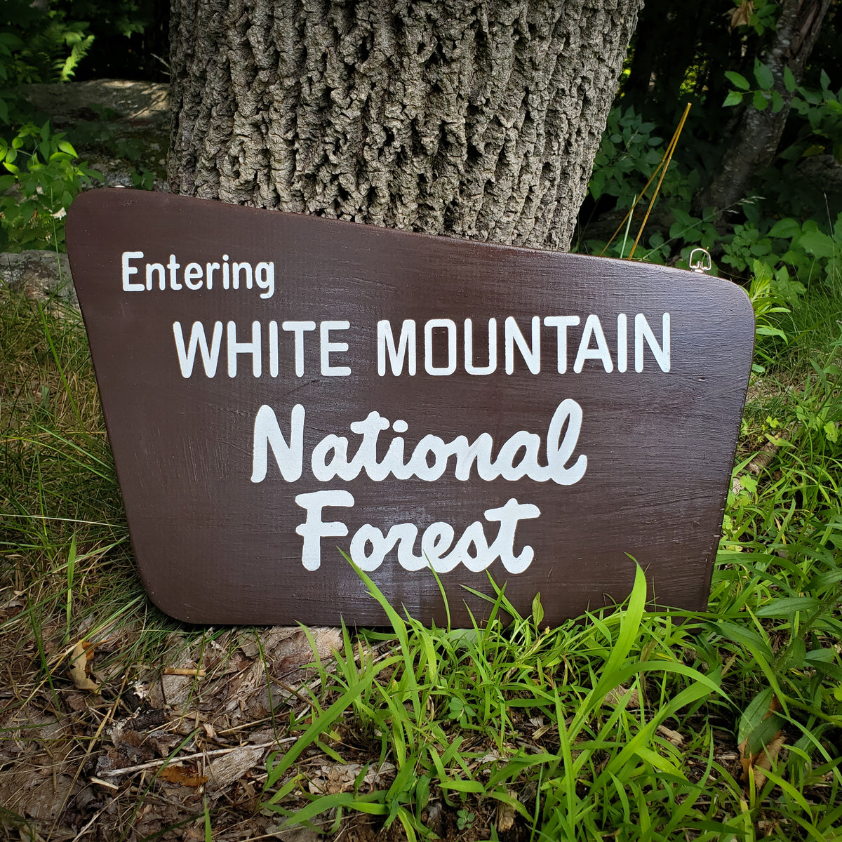 White Mountain National Forest Sign Style 2